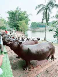 Paya Indah Discovery Wetlands: A Natural Escape with Wildlife Wonders