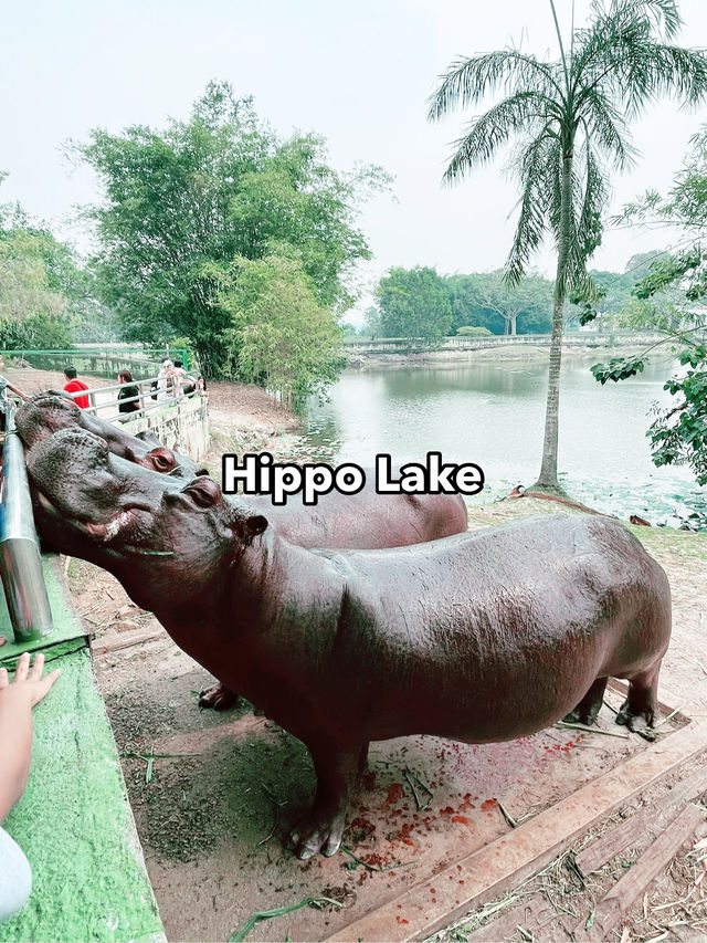 Paya Indah Discovery Wetlands: A Natural Escape with Wildlife Wonders