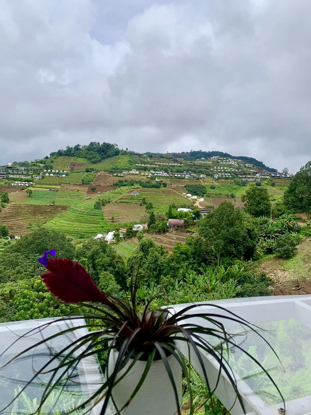 หมอกบนม่อน วิวหลักล้าน อากาศเย็นสบายจ้าววว 🌄❄️💚
