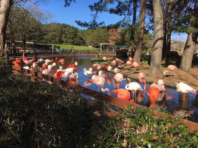 細說 - 海の中道全日遊