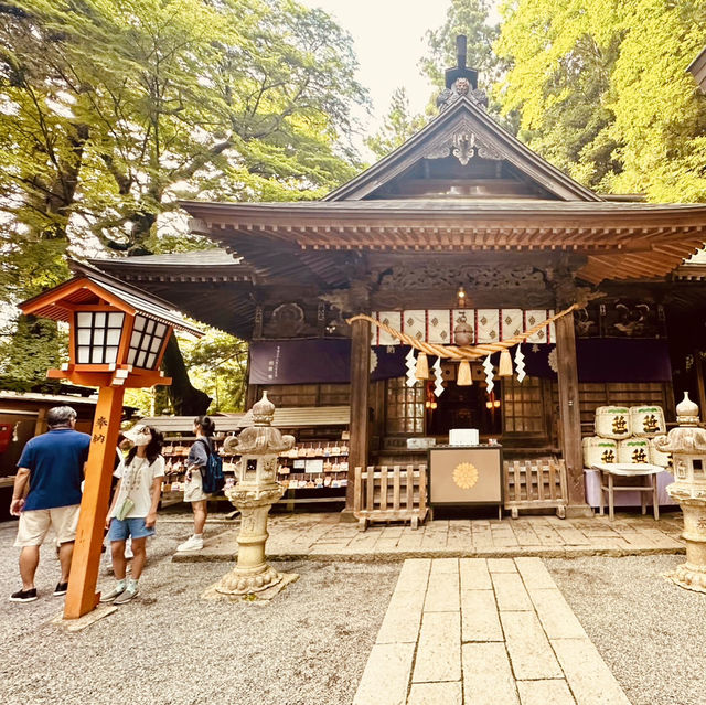 🏔「鳥居、五重塔與富士山同框，這就是日本最經典的風景。」