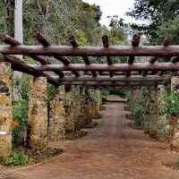 Araluen Botanic Park – Heritage Garden Sanctuary in the Perth Hills