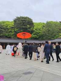 東京明治神宮🎏闖入鬧市中的靜謐，偶遇一場日式浪漫🎎