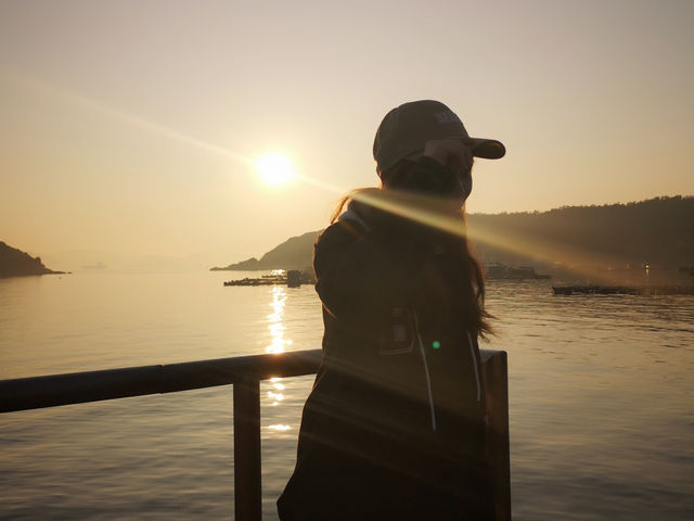 日落下的南蓮園池秘境🌅   日落下的南蓮園池秘境🌅