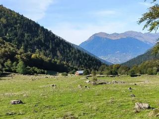 Exploring the Natural Beauty of Artiga de Lin