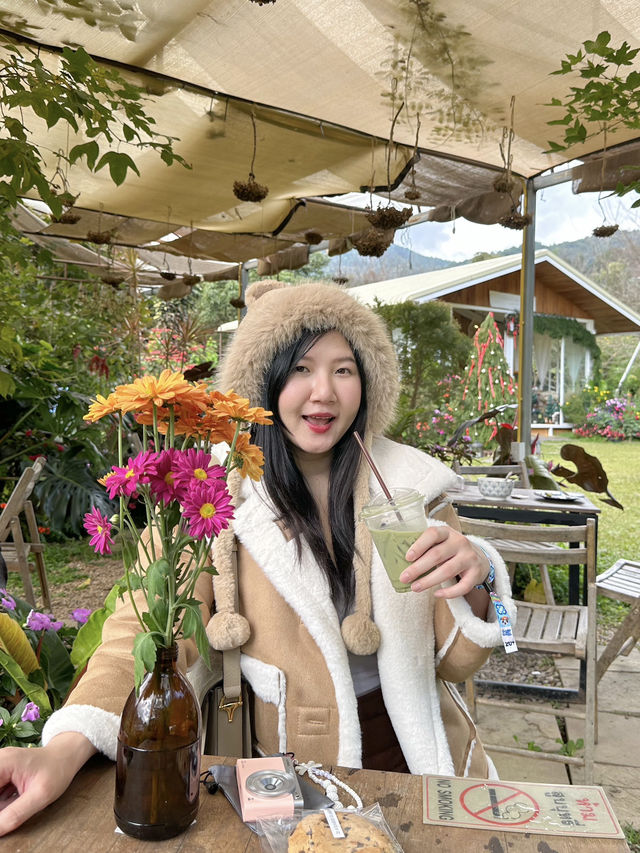 22 AQUARIUS Glamping Cafe
