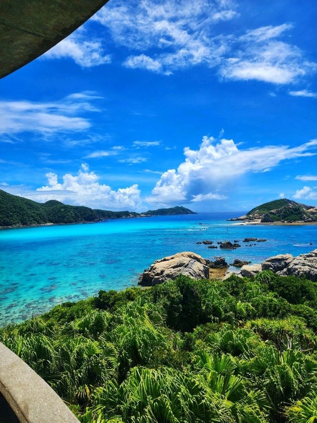 沖繩渡嘉敷島🌊|體驗海島慢活日常🏝