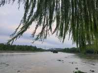Wuzhen