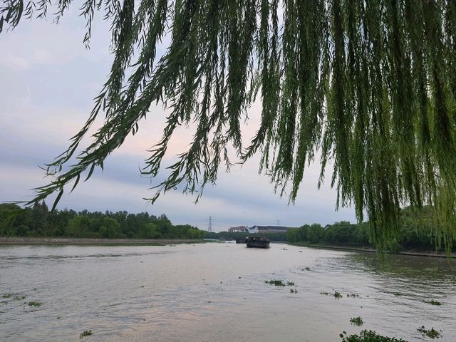 Wuzhen Wuzhen