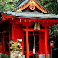 How to Nail Your Hakone Shrine Visit 🎴✨
