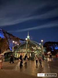 🌖 Night @DisneySea สวยม๊าก สวยเหมือนไม่มีอยู่จริง