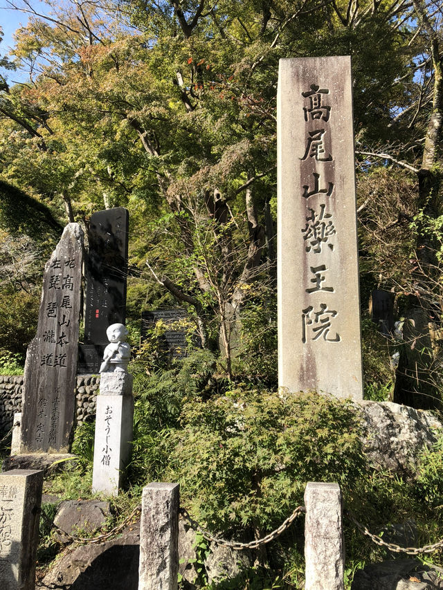 🚡高尾山一日遊：纜車體驗×登山散策×美食享受
