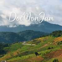 DoiMonJam