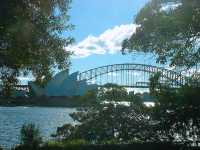 🌊 歷史與現代交織的碼頭風情：Woolloomooloo Finger Wharf