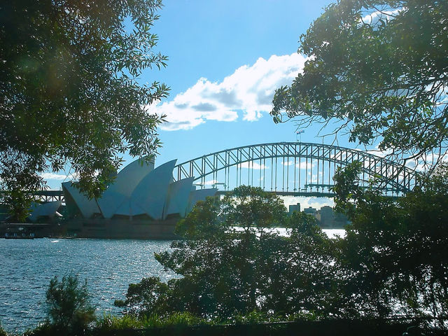 🌊 歷史與現代交織的碼頭風情：Woolloomooloo Finger Wharf