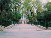 Hong Kong Park 