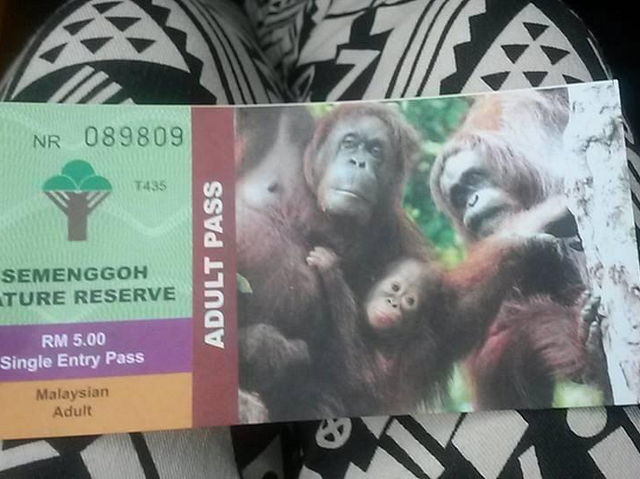 Semenggoh Wildlife Centre - Malaysia 