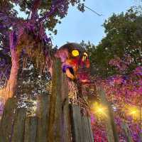 Tulleys Shocktober Fest