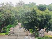 中國廈門 鼓浪嶼 林家花園 五通碼頭