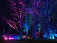 🌹Floriade Nightfest🌹