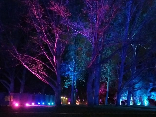 🌹Floriade Nightfest🌹