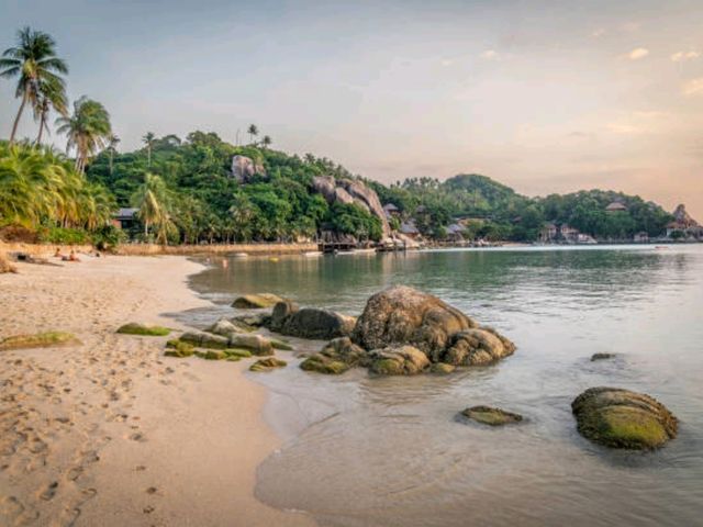 꼬따오(Koh Tao) – 다이버들의 천국