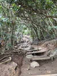 海風、白鳥居、龍貓的足跡：我在糸島尋找治癒系的藍