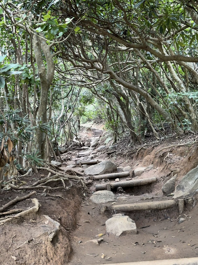 海風、白鳥居、龍貓的足跡：我在糸島尋找治癒系的藍