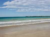 Ocean Bliss✨ Great Ocean Road — Australia’s Coastal Masterpiece & a Glimpse of Wild Koalas
