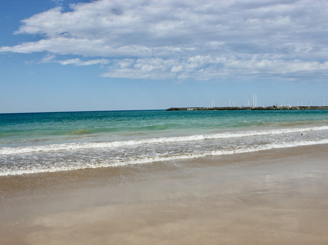 Ocean Bliss✨ Great Ocean Road — Australia’s Coastal Masterpiece & a Glimpse of Wild Koalas