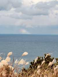 A Breath of Fresh Air in Jeju City