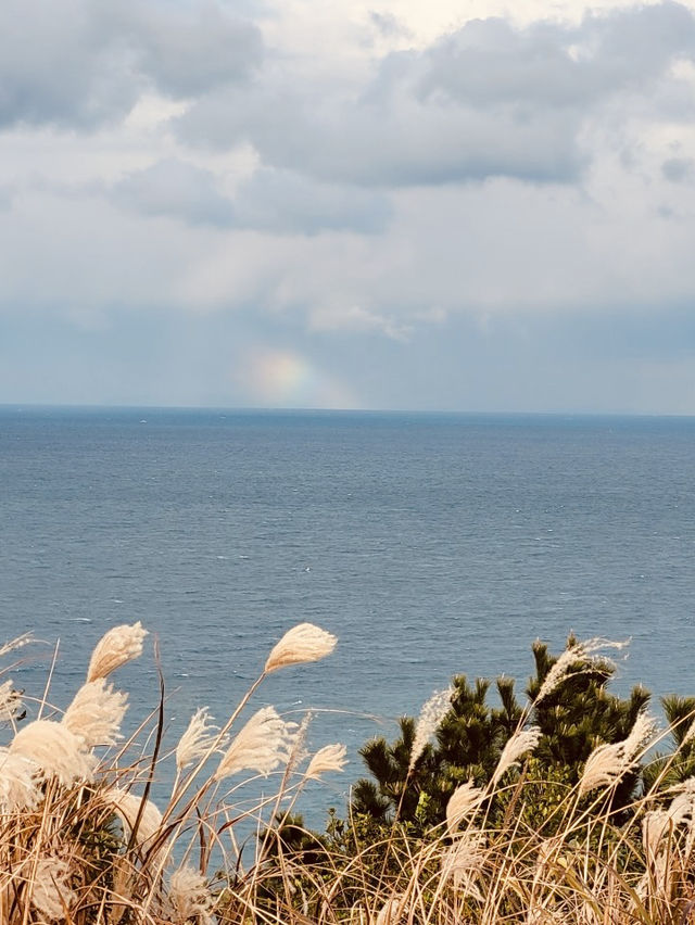 A Breath of Fresh Air in Jeju City