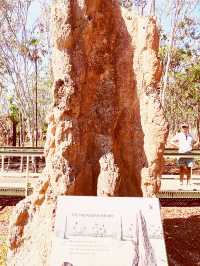 🏜️ Darwin Termite Mounds: Nature's Skyscrapers in the Australian Outback! 🌄