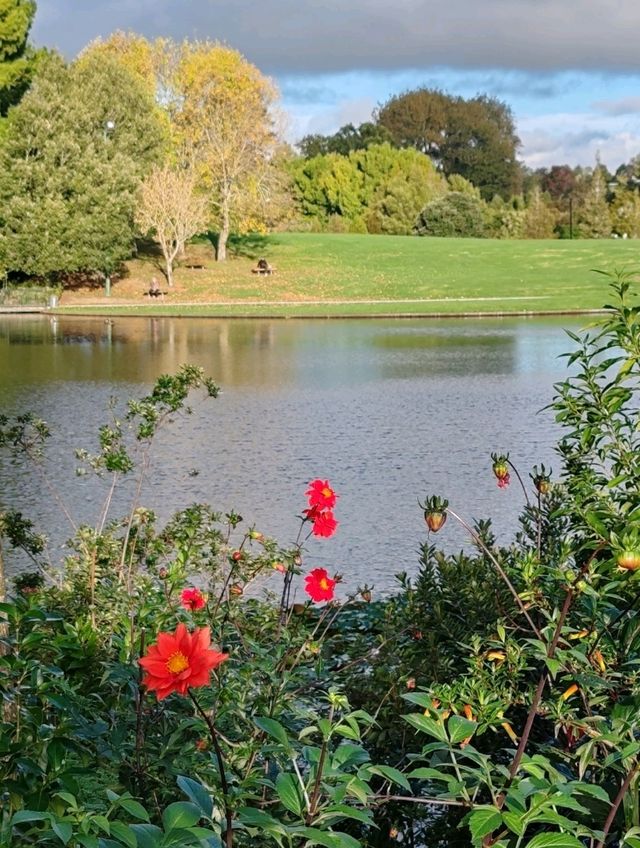 Hamilton Gardens: A Journey Through Time in a Garden