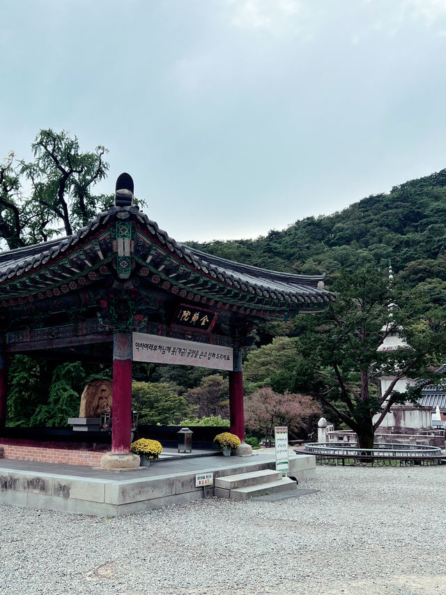 고즈넉한 산사에서 사색하며🦋