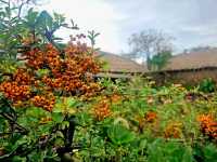 หมู่บ้านพื้นเมืองซองอึบ (Seongeup Folk Village)