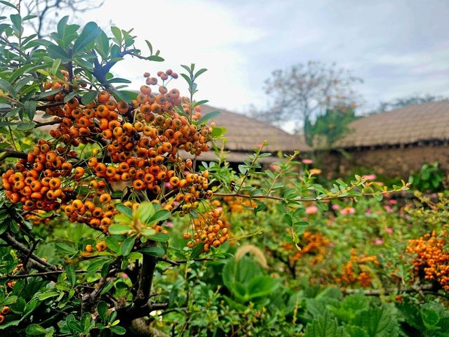 หมู่บ้านพื้นเมืองซองอึบ (Seongeup Folk Village)
