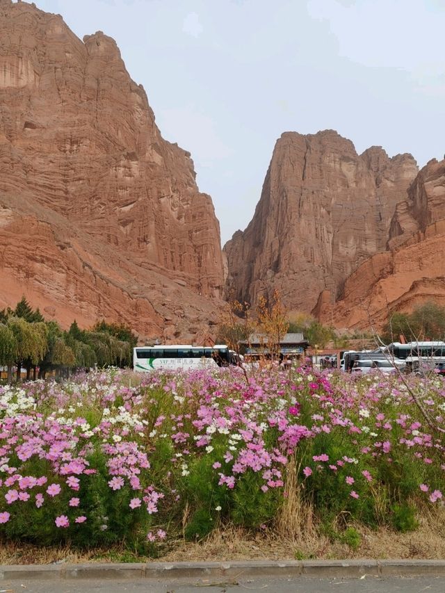 Mysterious Grand Canyon of the Tianshan Mountains: A Scarlet Wonder