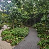 Brooklyn Botanic Garden