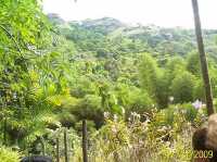 Garden of the Sleeping Giant