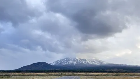 北海道の離島利尻島でのんびり旅 — traveler post in 利尻