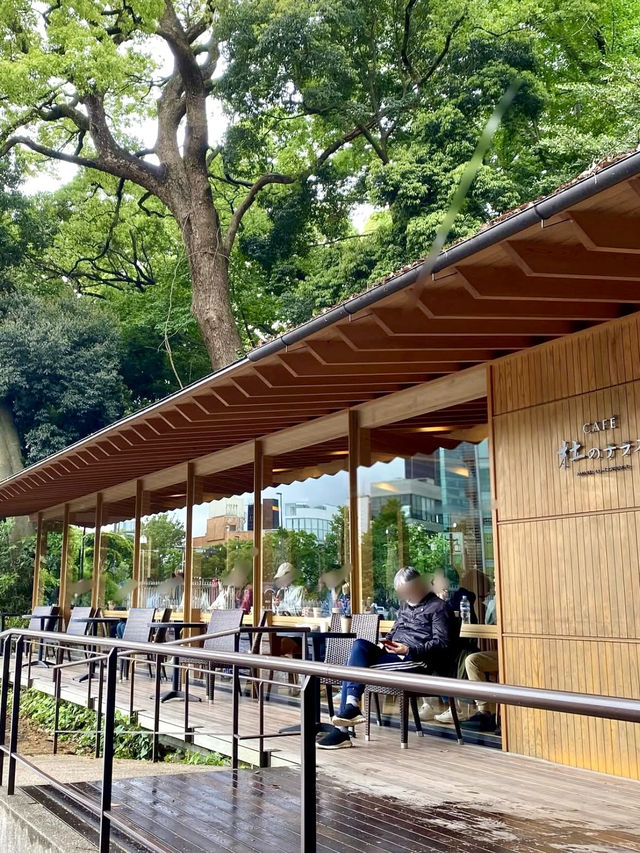 Tranquil Sips by the Shrine Gate 🍵✨