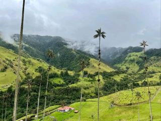 科科拉谷：蠟棕櫚觸天之地