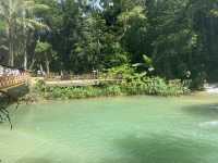 Lost in Kuang Si Paradise 💦🌿