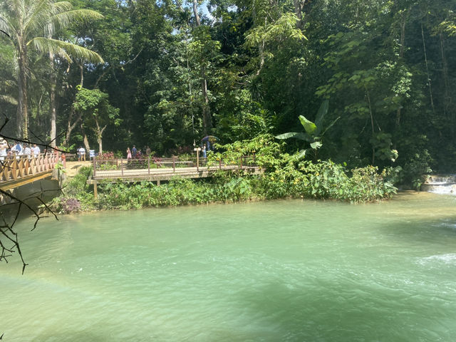 Lost in Kuang Si Paradise 💦🌿 Lost in Kuang Si Paradise 💦🌿