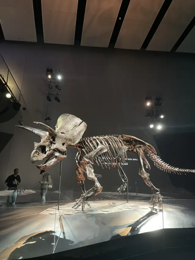 Dinosaurs & Discovery at Melbourne Museum 🦖💎🏛️
