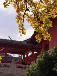 “Whispers of Serenity: The Zen Paradise of Nanjing”