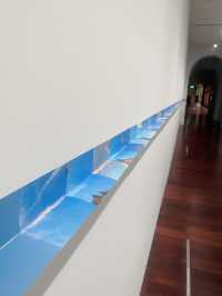 🎨✨ MOCA 台北當代藝術館｜城市裡的藝術呼吸 ✨🎨