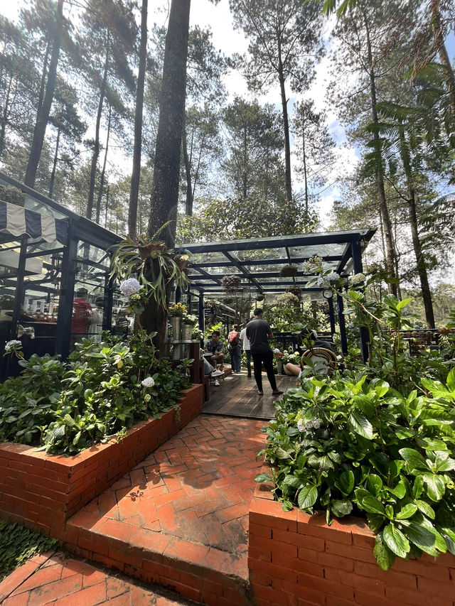 Orchid Forest cikole Orchid Forest cikole