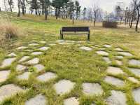 Evergreen Garden: Pyeongtaek’s Secret Sanctuary of Stillness🌿